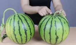 冰甜无为吃瓜爆料,娱乐圈幕后真相大揭秘