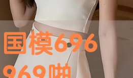 国模啪啪视频,揭秘网络直播的诱惑与风险