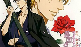 异国色恋浪漫谭动漫,跨越国界的浪漫传奇